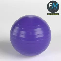 Fitball