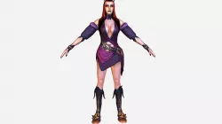 Game MMO RPG Character Armored Succub Women Elf