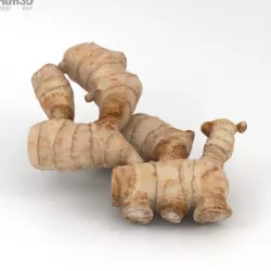 Ginger