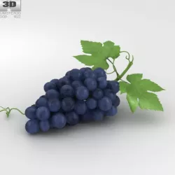 Grapes