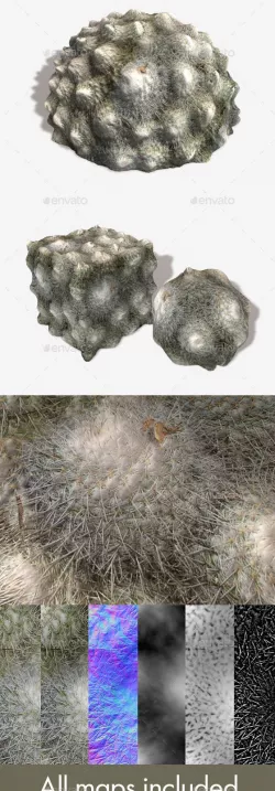 Ground Cactus Seamless Texture