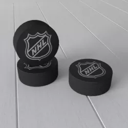 Hockey puck