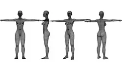 Human Female High Poly Base Mesh