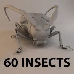 Insects and Beetles Pack