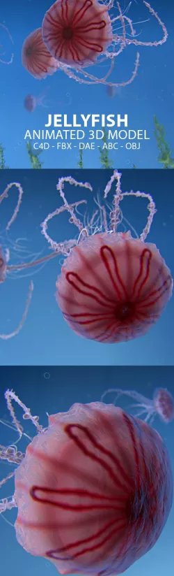 Jellyfish Animated 3D Model