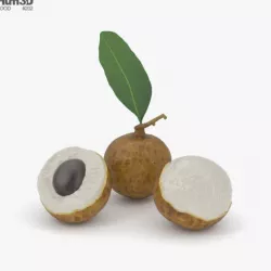 Longan