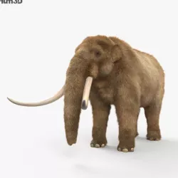 Mastodon HD
