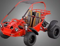 Off Road Buggy - 3d model