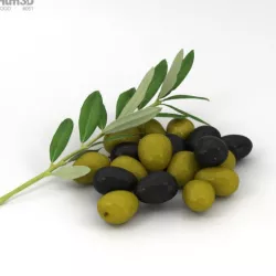 Olive