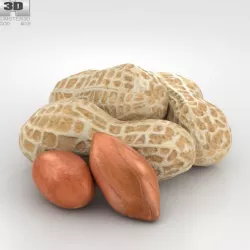 Peanuts