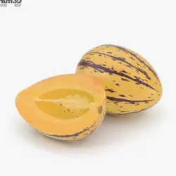 Pepino