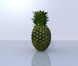 Pineapple 3D Model