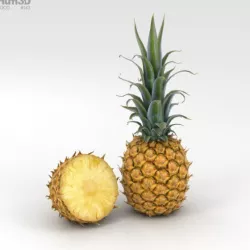 Pineapple