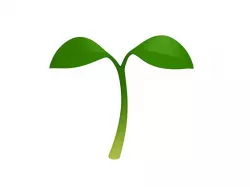 Plant Sprout