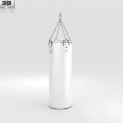 Punching Bag