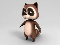 Raccoon Character