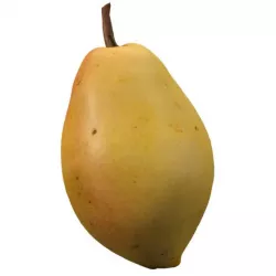 realistic yellow pear 3d model