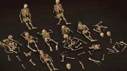 remains skeleton bone big pack 3d model