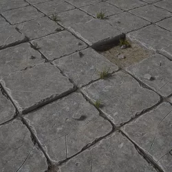 Stone Floor