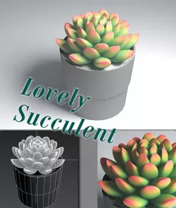 Succulent Plants