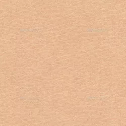 Tileable Seamless Human Skin Texture