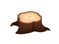 Tree Stump