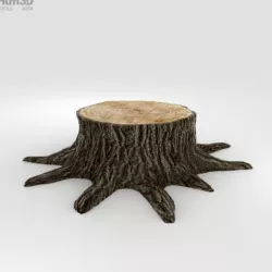 Tree Stump
