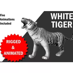 White Tiger with animation