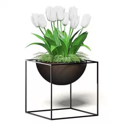White Tulips 3D Model