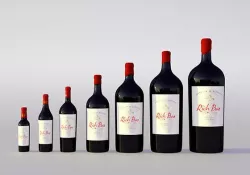 Wine bottles collection