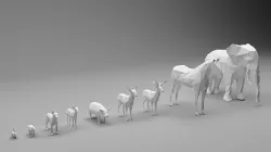 Animals Low Poly