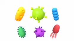 Bacteria Pack