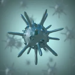 Bacterium 1