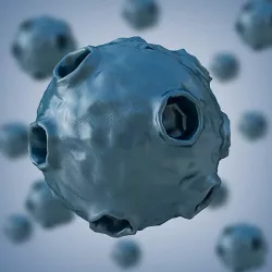Bacterium 2
