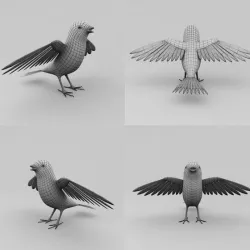 Bird