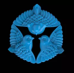 birds