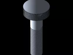 Bolt