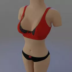 Bra and panties on the mannequin