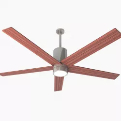 Ceiling Fan