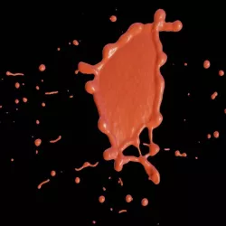 Collided Water Drop