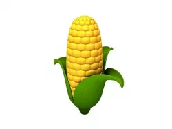 Corn