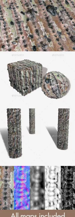 Dead Cactus Seamless Texture