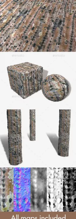 Dry Cactus Seamless Texture