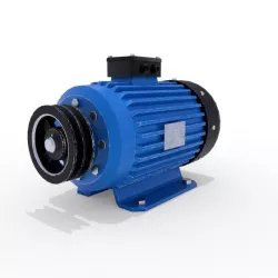 Electric Motor 1