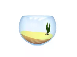 Fish Bowl