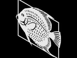Fish Model