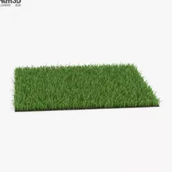 Grass