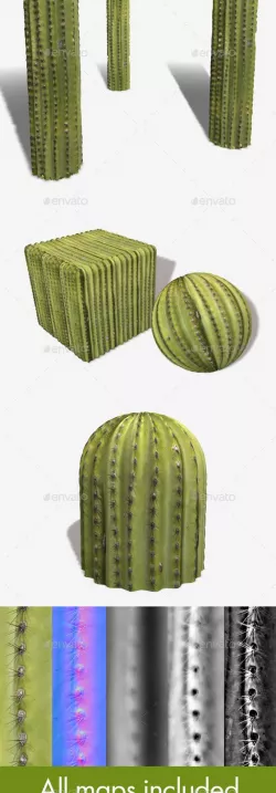 Green Cactus Seamless Texture