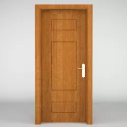 Interior Door