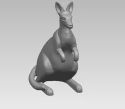 Kangaroo